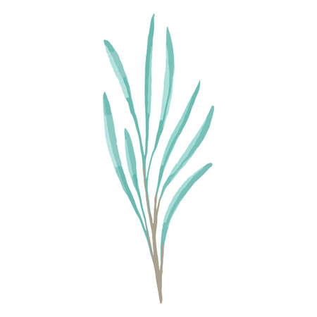 Decorative Vector beautiful elegant green branches in flat style. Element for the decor of wedding invitations.のイラスト素材