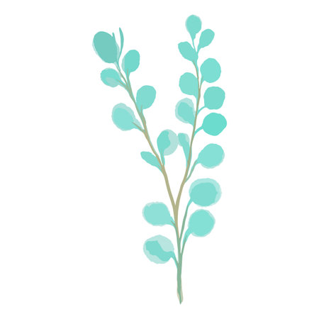 Hand drawn Vector watercolor eucalyptus branch. Element for decor of wedding invitations. Decorative beautiful elegant green branches in flat style.のイラスト素材