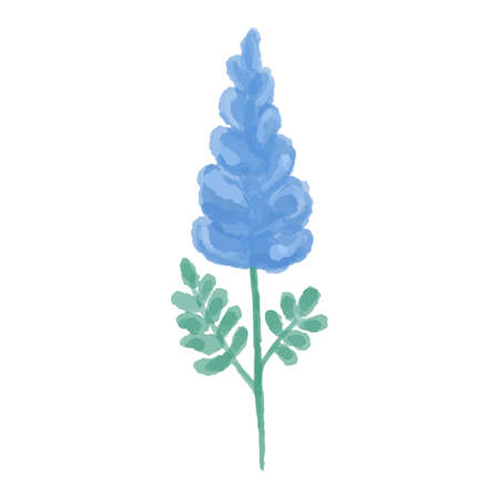 Hand drawn illustration of a blue wild flower. Gladiolus painted in watercolor. Vector illustration.のイラスト素材