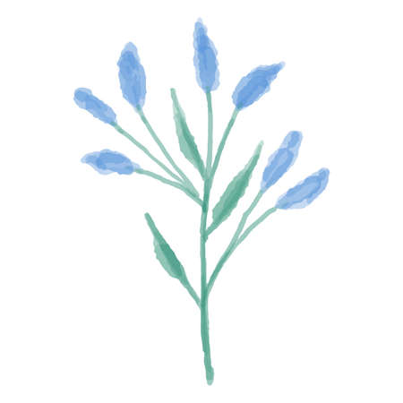 Hand drawn illustration of a blue wild flower. Delphinium painted in watercolor. Vector illustration.のイラスト素材