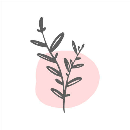 Trendy Single line flower. Vector illustration of Floral branches and rainbow stains.のイラスト素材