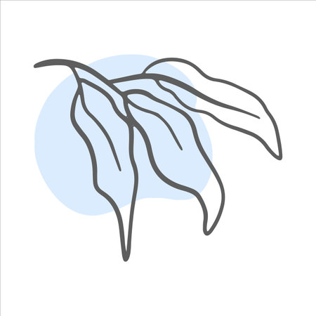 Single line Exotic Branch with a splash of paint on the background. Flower line nature icon vector. Trendy spring Vector illustration.のイラスト素材