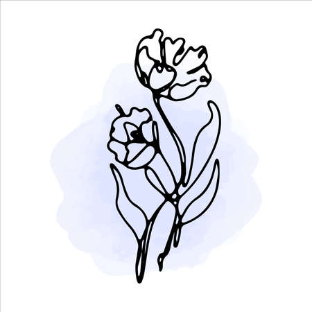 Flowers and leaves in one line art style. Watercolor blue spots on the background. Vector hand drawn illustration.のイラスト素材