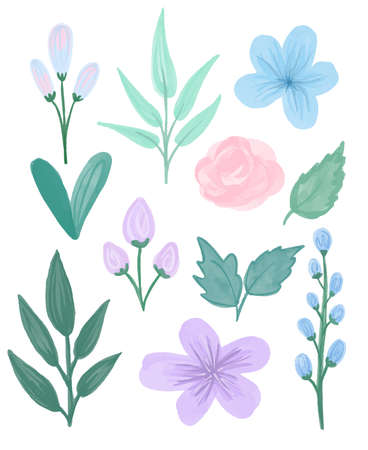 Vector floral set. Colorful floral collection with leaves and flowers drawing with watercolor. Spring or summer design for invitation, wedding or greeting cards.のイラスト素材