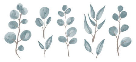 Watercolor Vector eucalyptus leaves set. Floral branch. Hand drawn wedding herb, plant and monogram with elegant leaves for invitation save the date card design.のイラスト素材