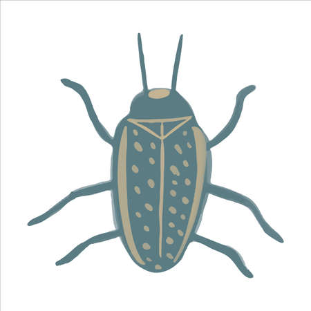 Exquisite hand drawn bed bug in boho style. Vector illustration.のイラスト素材