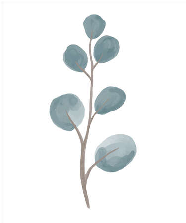 Eucalyptus branch hand drawn by watercolor. Vector illustration.のイラスト素材