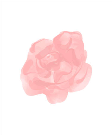 Delicate pink bud painted in watercolor. Vector illustration.のイラスト素材