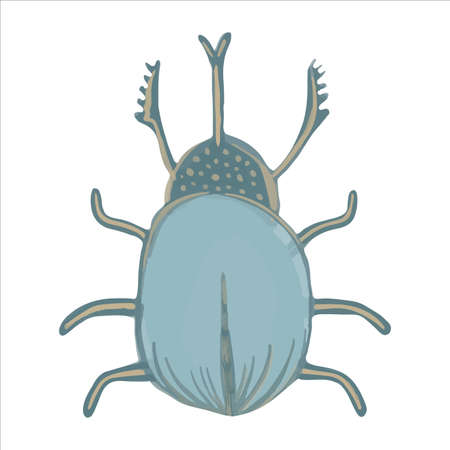 Exquisite hand drawn beetle in boho style. Vector illustration.のイラスト素材