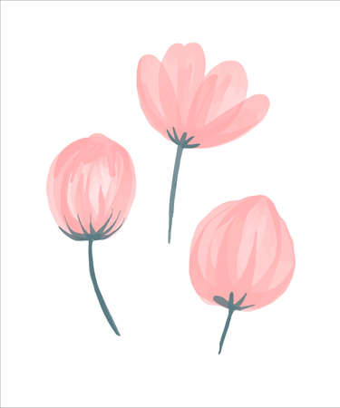 Delicate pink bud painted in watercolor. Vector illustration.のイラスト素材