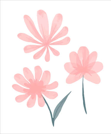 Delicate pink wild flower painted in watercolor. Vector illustration.のイラスト素材