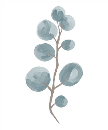 Eucalyptus branch hand drawn by watercolor. Vector illustration.のイラスト素材