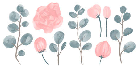 Collection of watercolor flowers and eucalyptus branches for wedding compositions. Vector illustration.のイラスト素材