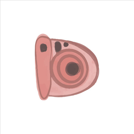 Watercolor vintage pink camera in boho style. Vector illustration.のイラスト素材