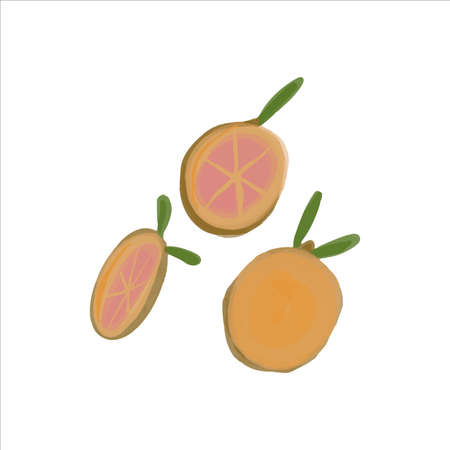 Boho hand painted orange wedges. Vector illustration.のイラスト素材