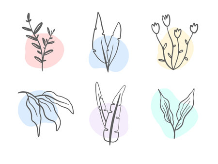 Single line flowers set. Trendy spring collection of wildflowers. Vector illustration of Floral branches and rainbow stains.のイラスト素材
