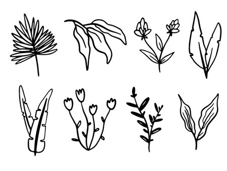 Vector collection Line art of flowers and plants. Decorative beauty elegant illustration for design. Hand drawn flowers set.のイラスト素材
