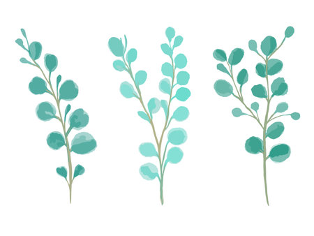 Vector set of watercolor sprigs of round-leaved green eucalyptus.のイラスト素材