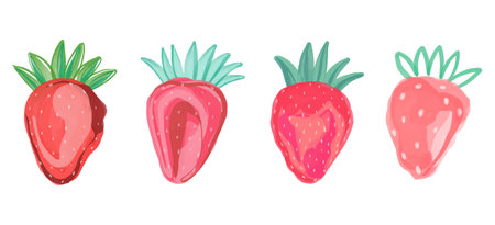 Hand drawn Vector watercolor set of Strawberries. Pink juicy Berries isolated on white background. Summer elements for design.のイラスト素材