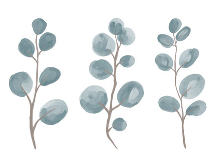 Vector A set of watercolor twigs of round-leaved silver eucalyptus.のイラスト素材