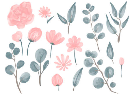 Collection of watercolor flowers and eucalyptus branches for wedding compositions.の写真素材