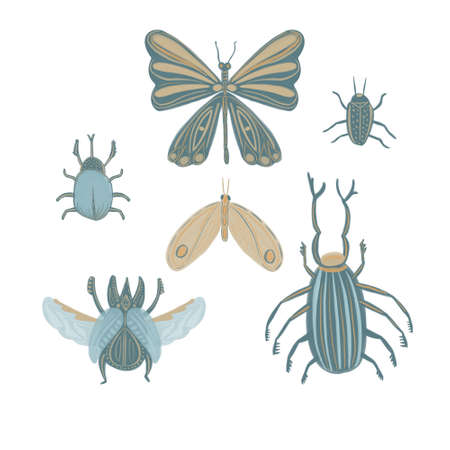 Collection of hand drawn stylized magic bugs and butterflies in boho style. Collection of flying mythical insects scarab, stag beetle. Celestial beetle with skull death.の写真素材