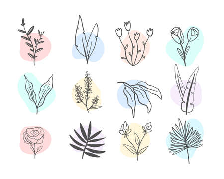 Single line flowers set. Trendy spring collection of wildflowers. Illustration of Floral branches and rainbow stains.の写真素材