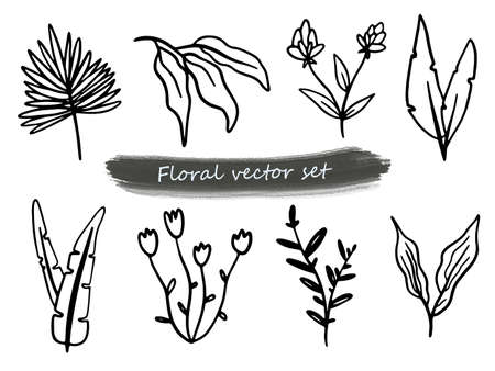 Vector collection Line art of flowers and plants. Decorative beauty elegant illustration for design. Hand drawn flowers set.のイラスト素材