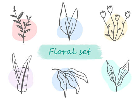 Single line Vector flowers set Trendy collection of wildflowers Floral branches and rainbow stainsのイラスト素材