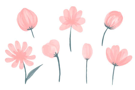 Vector Collection of pink watercolor hand drawn wild flowers.のイラスト素材