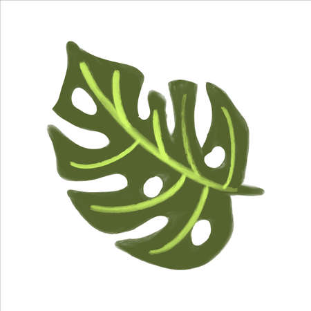 Vector Monstera leaf painted in watercolor. Summer illustration for design.のイラスト素材