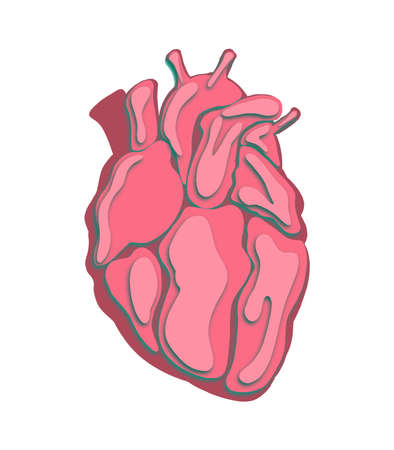 Vector Human heart drawn in paper cut style.のイラスト素材