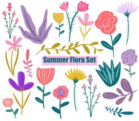 Vector Hand painted summer flora set. Wild flowers. Sketch wildflowers and herbs nature botanical elements.のイラスト素材