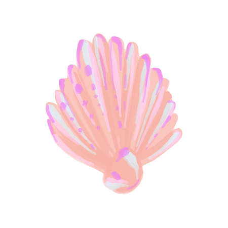 Vector Sea shell of mother-of-pearl color painted in watercolor. Summer illustration of a seashell with a pearl.のイラスト素材