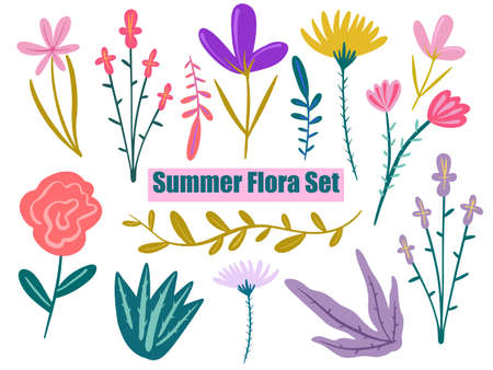 Vector Hand painted summer Wild flowers set. Sketch flora and herbs nature botanical elements.のイラスト素材