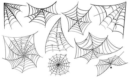 Vector Set of spider web and halloween cobweb decoration.のイラスト素材
