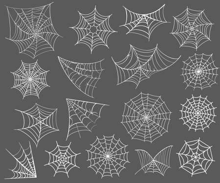 Vector Collection of Cobweb isolated on transparent background. Spiderweb for Halloween design. Spider web elements,spooky, scary, horror halloween decor.のイラスト素材