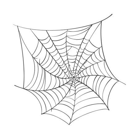 Vector Spider web on whiteのイラスト素材