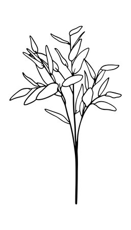 Vector stylized twig with leaves and vignettes in black lines on a white background.のイラスト素材