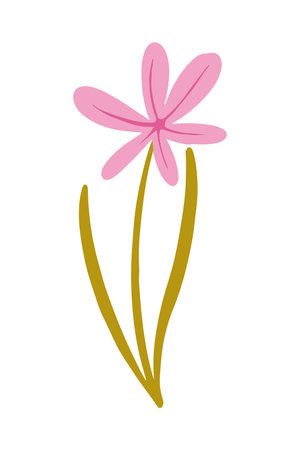 Vector illustration of Pink wild flower drawn in a flat style.のイラスト素材