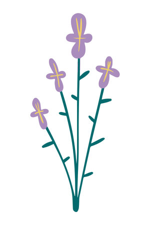 Vector illustration of Lilac forget-me-not flower drawn in a flat style.のイラスト素材
