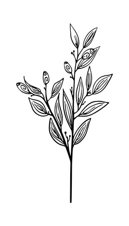 Leaves One Line Drawing. Continuous Line of Simple Flower Illustration. Abstract Contemporary Botanical Design Template for Minimalist Covers, Postcard, Banner. Vector EPS 10.のイラスト素材
