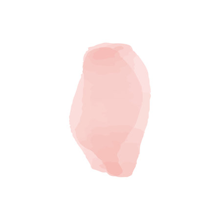 Vector Blush pink watercolor stains Paint stropke. Abstract pink watercolor hand painted on paper.のイラスト素材