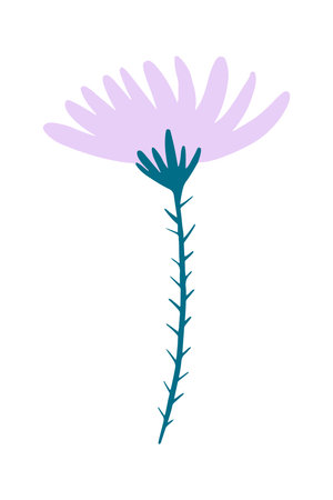 Vector illustration of a lilac field dandelion flower drawn in a flat style.のイラスト素材