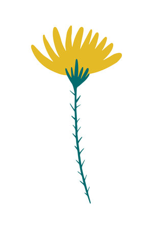 Vector illustration of a yellow field dandelion flower drawn in a flat style.のイラスト素材