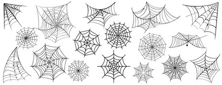 Vector Set of spider web and halloween cobweb decoration.のイラスト素材