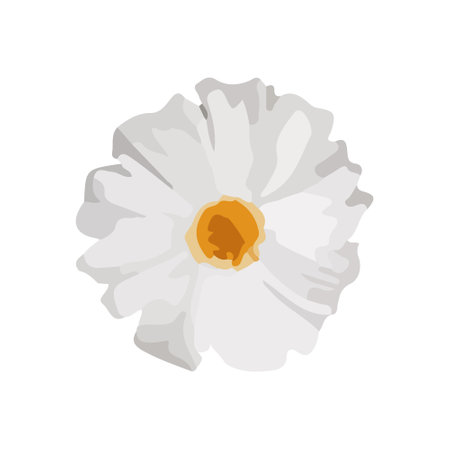 Vector watercolor chamomile flower icon.のイラスト素材
