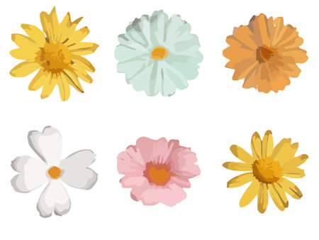Vector watercolor Assorted colorful flowers collectionのイラスト素材
