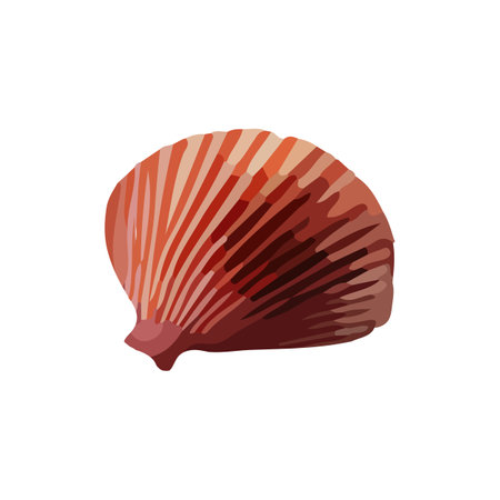 Vector Watercolor hand painted scallop sea shell beige. Brown marine beach element for summer and party card making, wrapping papper, wallpaper, postcards designのイラスト素材