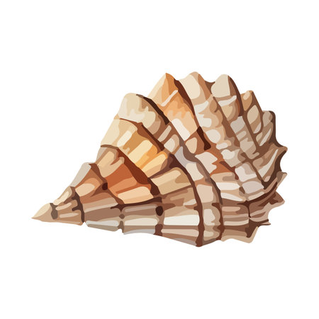 Vector Seashell watercolor illustration. Hand drawn underwater element design. Artistic vector marine design element. Illustration for greeting cards, printing and other design projects.のイラスト素材